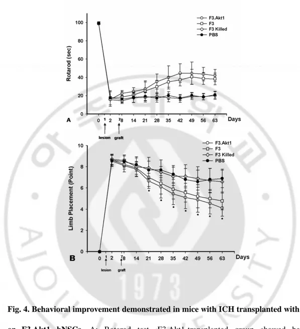 Fig. 4. Behavioral improvement demonstrated in mice with ICH transplanted with F3  or F3.Akt1 hNSCs