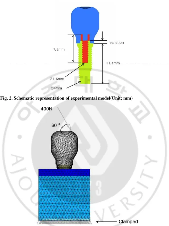 Fig. 2. Schematic representation of experimental model(Unit; mm) 