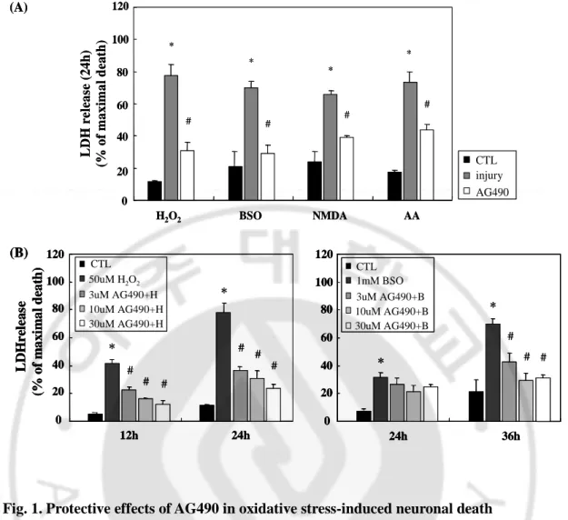 Fig. 1. Protective effects of AG490 in oxidative stress-induced neuronal death     