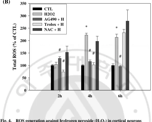 Fig. 4.    ROS generation against hydrogen peroxide (H 2 O 2 ) in cortical neurons      (A) Primary cortical neurons were incubated for 2, 4, and 6h with 50  μM hydrogen peroxide  following  pre-treatment  for  30  min  with  10  μM  AG490  and  antioxidan