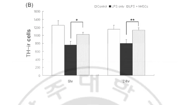 Fig. 3. Neuroprotective effects of hMSCs on LPS-induced neurotoxicity on mesencephalic 