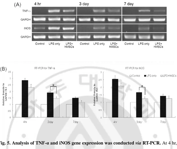Fig. 5. Analysis of TNF-α and iNOS gene expression was conducted via RT-PCR. At 4 hr, 3 