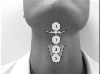 Fig.  4.  Supra  &amp;  infrathyroid  area.