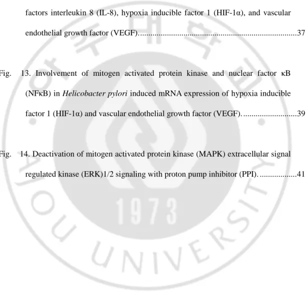 Fig.    10. In vitro angiogenesis assay. ....................................................................................33