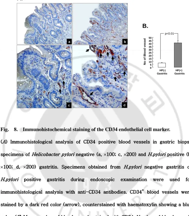 Fig.    8.    Immunohistochemical staining of the CD34 endothelial cell marker.     