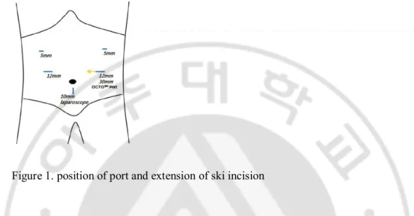 Figure 1. position of port and extension of ski incision  