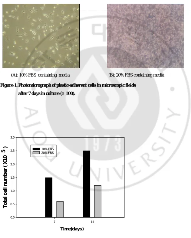 Figure 2. Cell proliferation according to serum concentration.   