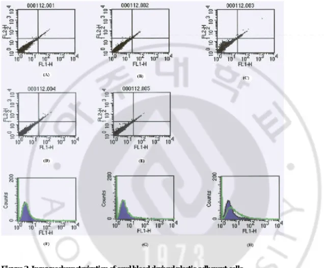 Figure 3. Immunocharacterization of cord blood-derived plastic-adherent cells. 