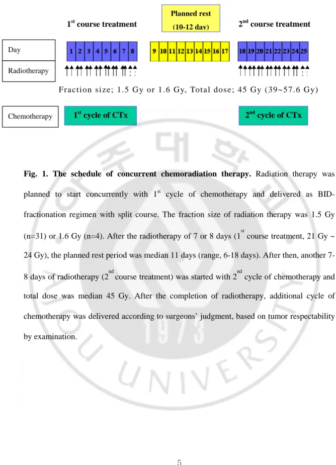 Fig.  1.  The  schedule  of  concurrent  chemoradiation  therapy.  Radiation  therapy  was 