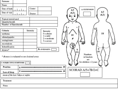 Fig. 1. SCORAD index chart.