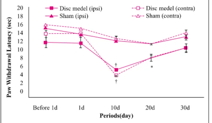 Figure 2. Comparison of thermal hyperalgesia.