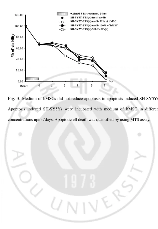 Fig.  3.  Medium  of  hMSCs  did  not reduce  apoptosis in  apoptosis induced  SH-SY5Ys