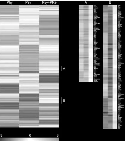 Fig. 3. Expressional profile of microarray. The normalized ratios were hierarchically clustered by using CLUSTER and then visualized using TREEVIEW   program