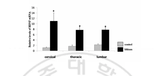Fig.  2. Li +  increases expression of BDNF mRNA in the spinal cord of adult rat.   Real  Time PCR analysis of BDNF mRNA in the cervical, thoracic, and lumbar spinal cord of  adult rat treated with Li +  for 3 weeks , mean ±S.E.M.(n = 5~9), *, significant 