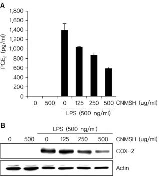 Fig. 4. The effects of CNMSH on IL-1 production and protein ex- ex-pression in LPS-stimulated BV2 microglia
