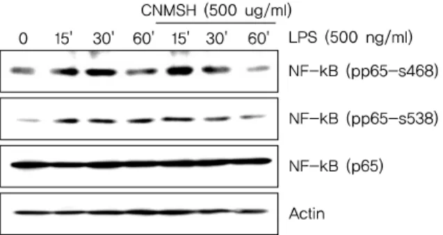 Fig. 7. The effects of CNMSH on phosphorylation of NF-B in  LPS-treated BV2 microglia