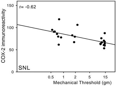 Fig. 7. Correlation between the COX-2 immunoreactivity and neuropathic  pain behavior