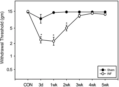 Fig.  10.  The  time  course  of  mechanical  hyperalgesia  in  rats  with  neuritis.  The  50% paw withdrawal thresholds to VF filament stimuli (mechanical threshold) were  measured before operation and a various times after inflammation