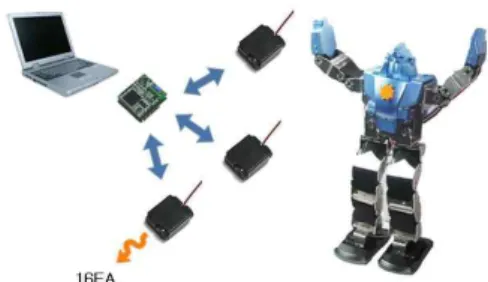Fig. 5. Appearance of wireless digital servo motor 2.2 Construction of Human Robot System This two-legged walking robot is constructed with wireless digital servo motor, designed to have 16 Degree Of Freedom joint structure, and wireless digital servo actu