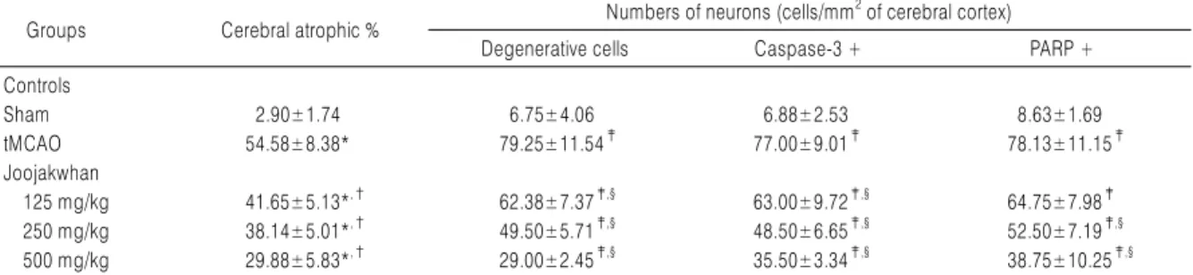 Table 7. Histomorphometry of Peri-infarct/defect Cerebral Cortex in tMCAO Rats