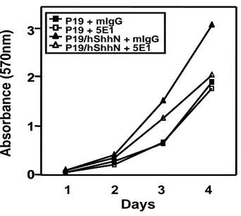 Fig.  9.  Cell  viability  of  P19,  P19/hShhN  cells  was  measured  by  MTT  (3-(4,5    dimethylthiazol-2-yl)-2,5-diphenyltetrazolium  bromide)  assay