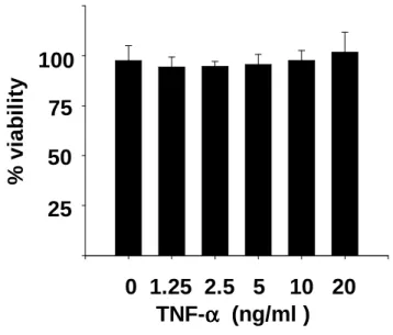 Fig. 5.   5.   5.   5.  Effect  Effect  Effect of  Effect  of  of  of TNF- TNF- TNF- TNF-α α    on  α α on  on  on INS-1  INS-1  INS-1  INS-1 cell  cell  cell  cell viability   viability   viability  After TNF-α (1.25, 5,  viability   10,  20  ng/ml)  trea