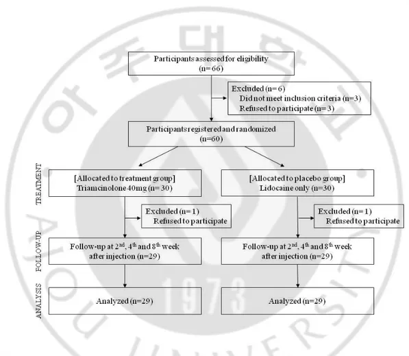 Fig.  1.  Flow  diagram  for  a  randomized  controlled  trial  comparing  a  subacromial  injection  of  triamcinolone  to  lidocaine  for  treating  stroke  patients  with  hemiplegic  shoulder pain
