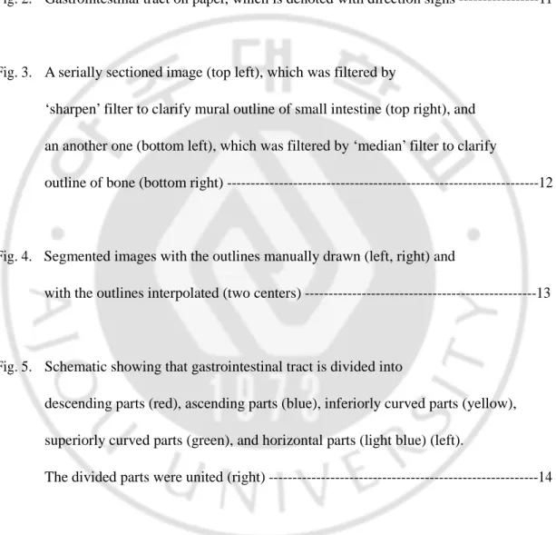 Fig. 1.  Both mural and luminal outlines of stomach (left), mural outline of   