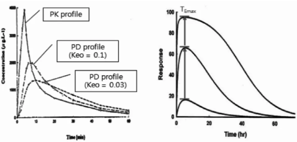 Fig. 7. Characteristics of PK and PD profile using biophase distribution model 16)