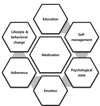 Fig. 4. Scope of pharmaceutical care services (MEdS-LEAP Model).