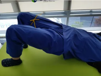 Figure 1.Bridgeexercisewithonehipjointadduction.
