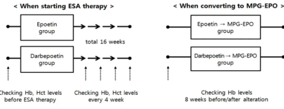 Fig. 1. Scheme of study.