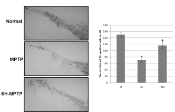 Fig. 1. Results of pole test