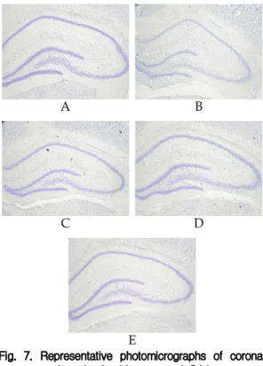 Fig. 6. Effect of Guibi-Tang oral administration on the density of cresyl violet-stained neural cell sections in the left hippocampus in rats.