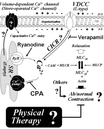 Figure  5. - -     -Figure  6. 