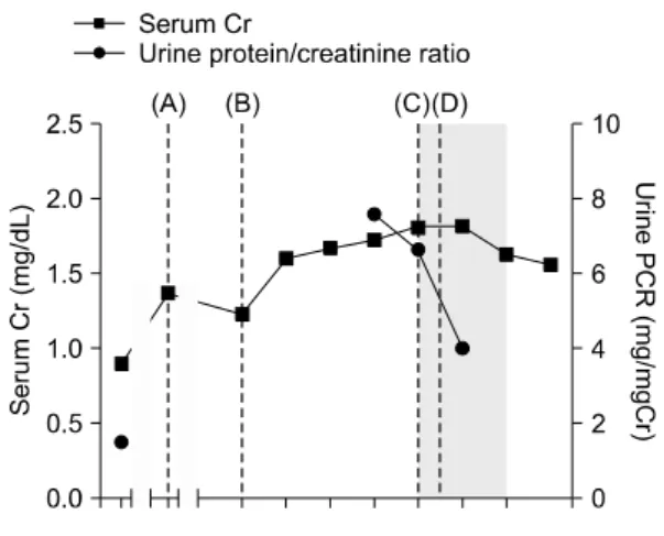 Fig.  1.  Serial  measurements  of  serum  creatinine  and  urinary  protein/creatitine  ratio  after  HSCT  showed  that  renal  function  deteriorated  after  discontinuation  of  steroid,  but  it  improved  with  resuming  of  cyclosporine  and  steroi