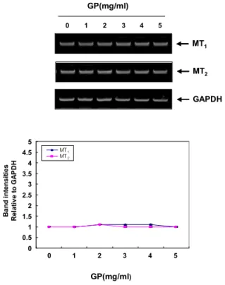 Fig. 19. Effect of GP on the nuclear morphology of C6 cells.