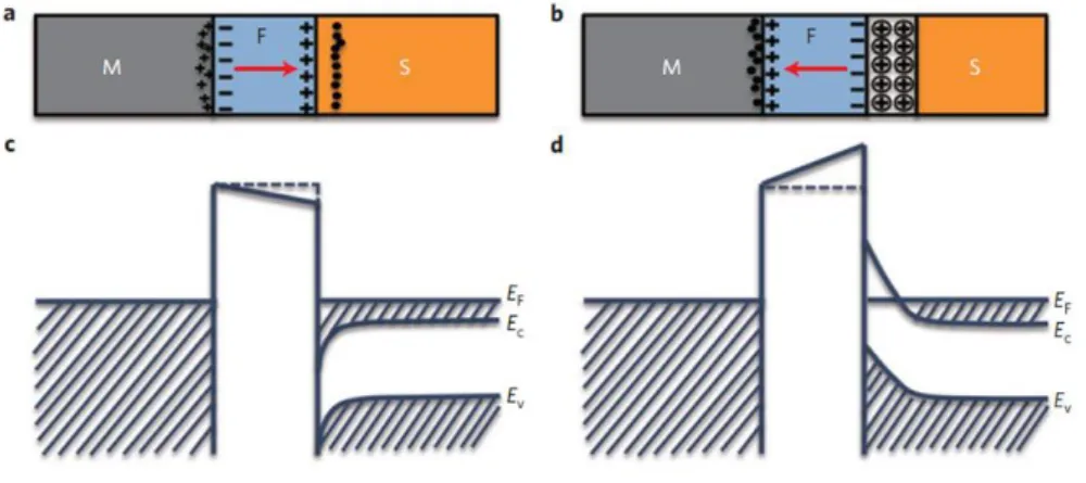 그림 45. Ferroelectric Memristor의 에너지 밴드 
