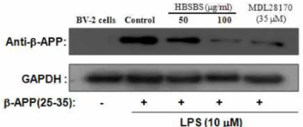 Fig. 2. Effects of HBSBS on the bA-induced Alzheimer's mice of impairment of learning and memory in the Step-through type Morris water maze test.