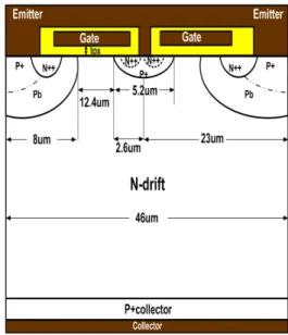 Fig  1.  The  dross-section  of  conventional  IGBT  structure 그림  1.  기존  IGBT  구조의  단면도