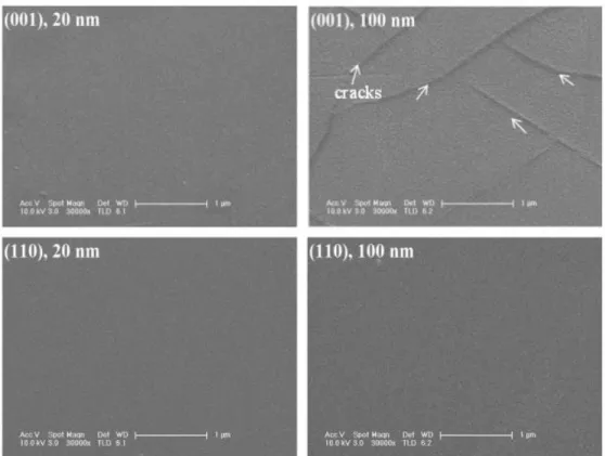 그림 2-8. SEM image of surface morphology of 20 and 100nm of VO2 thin films  deposited on (001) and (110) TiO2 substrates 