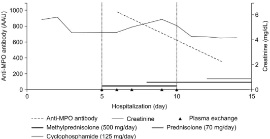 Fig. 2.  The  creatinine  and  anti-MPO  antibody  level  decreased  after  plasma  exchange  and  steroid  pulse  therapy.