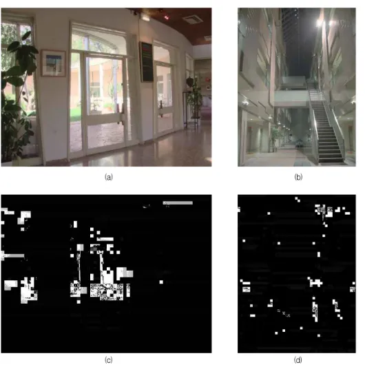 Fig. 5. Results from the proposed algorithm : (a),(b) The tone-mapped "Dani_Belgium" and "AtriumNight"