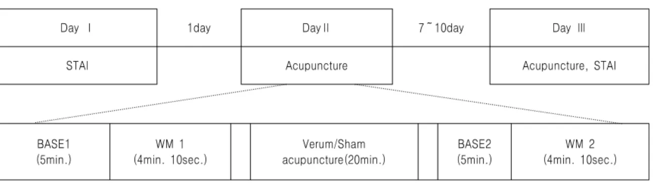 Fig.  1.  Whole  flowchart  of  the  experiment.