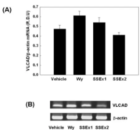 Fig.  11.  Modulation  of  mitochondrial  MCAD  mRNA  expression  by  SSEx  in  differentiated  C2C12  cells.
