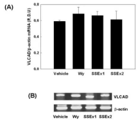 Fig.  10.  Modulation  of  mitochondrial  VLCAD  mRNA  expression  by  SSEx  in  NMu2Li  cells.