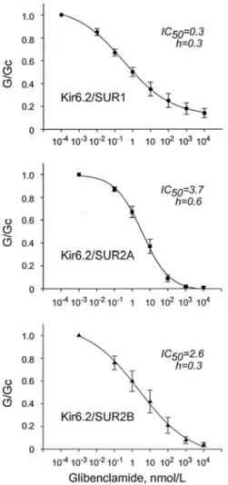Fig. 6. A. A macroscopic current recorded from inside- A. A macroscopic current recorded from inside-out  patches  in  response  to  a  series  of  voltage ramps  from  -110  to  +100  mV.  Oocytes  were injected  with  mRNAs  encoding  Kir6.2/SUR1.