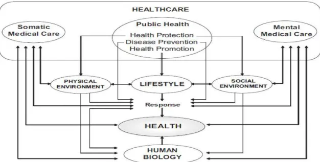 그림  1.  건강  결정  모델  (Health  determinants  model) 