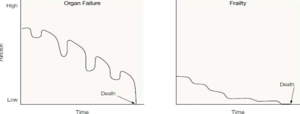그림  4.  장기부전과  만성질환의  진단부터  죽음까지의  신체기능의  변화 자료원: June R. Lunney et al. Patterns of Functional Decline at the End of Life