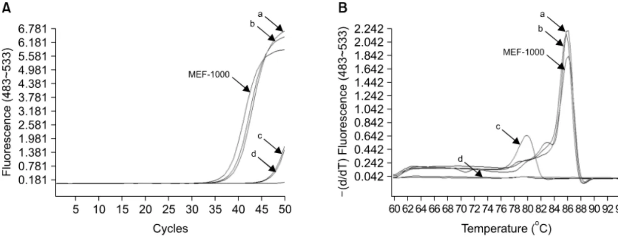 Fig.  3.  Results  of  real-time  polymerase  chain  reaction  for  env  gene.  (A)  Absolute  quantification  result  and  (B)  melting  curve  analysis  result